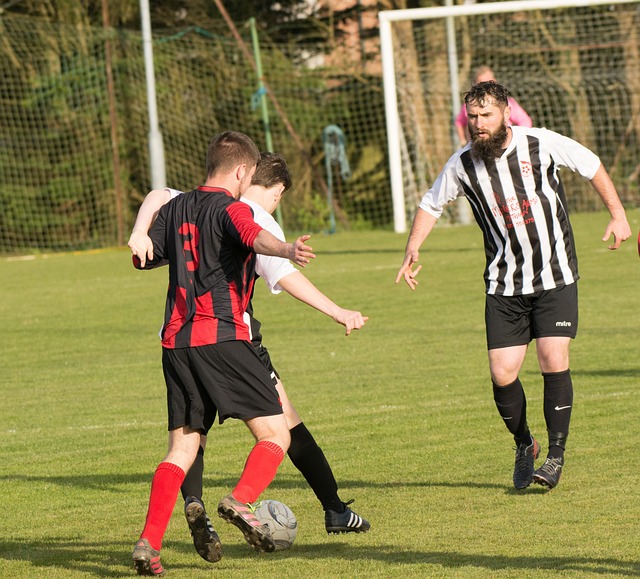 活力和创造 活力和创造