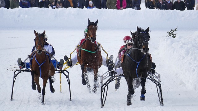 核心价值 核心价值