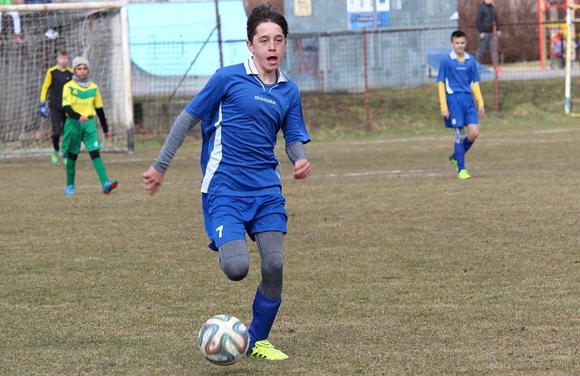 体表现受到 体表现受到