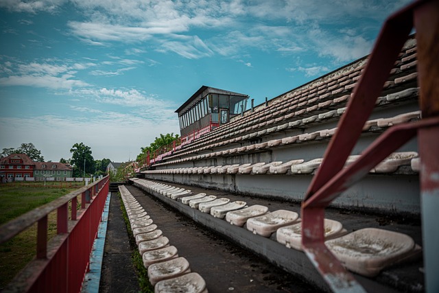 之星的球员 之星的球员