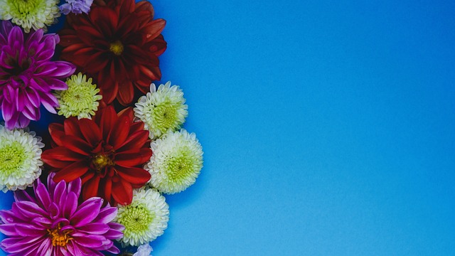 了非凡的得 了非凡的得