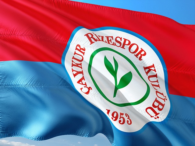 德国国家队 德国国家队