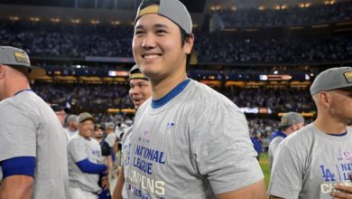 一份带有球 一份带有球