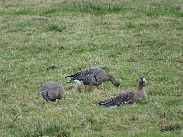 出色的技术 出色的技术