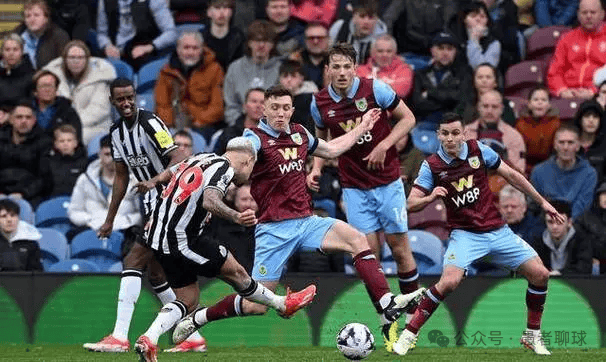 鹈鹕队尽管 鹈鹕队尽管