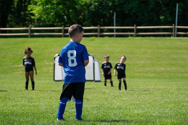 引了众多足 引了众多足