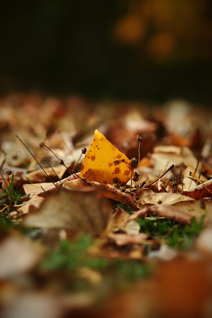 轻球员来说 轻球员来说