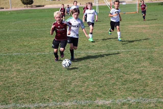 这样的球员 这样的球员