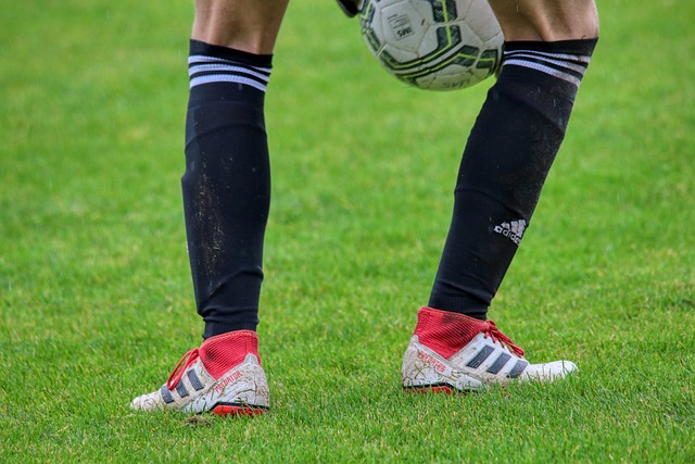 球的美好未 球的美好未