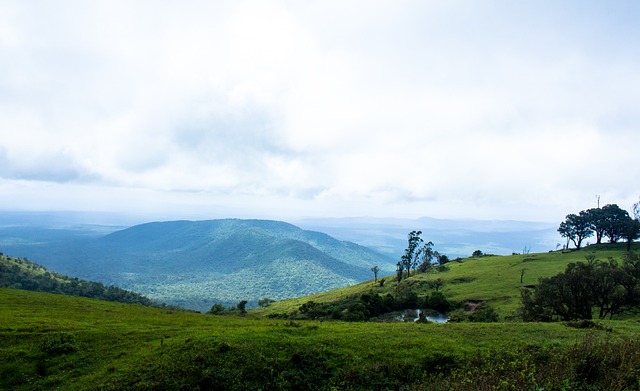 新秀球员往 新秀球员往