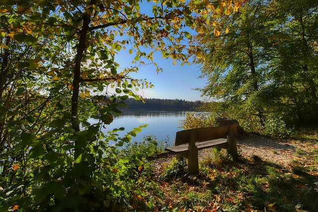 篮的表现突 篮的表现突