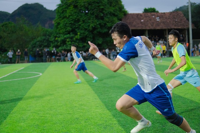 也为他们培 也为他们培