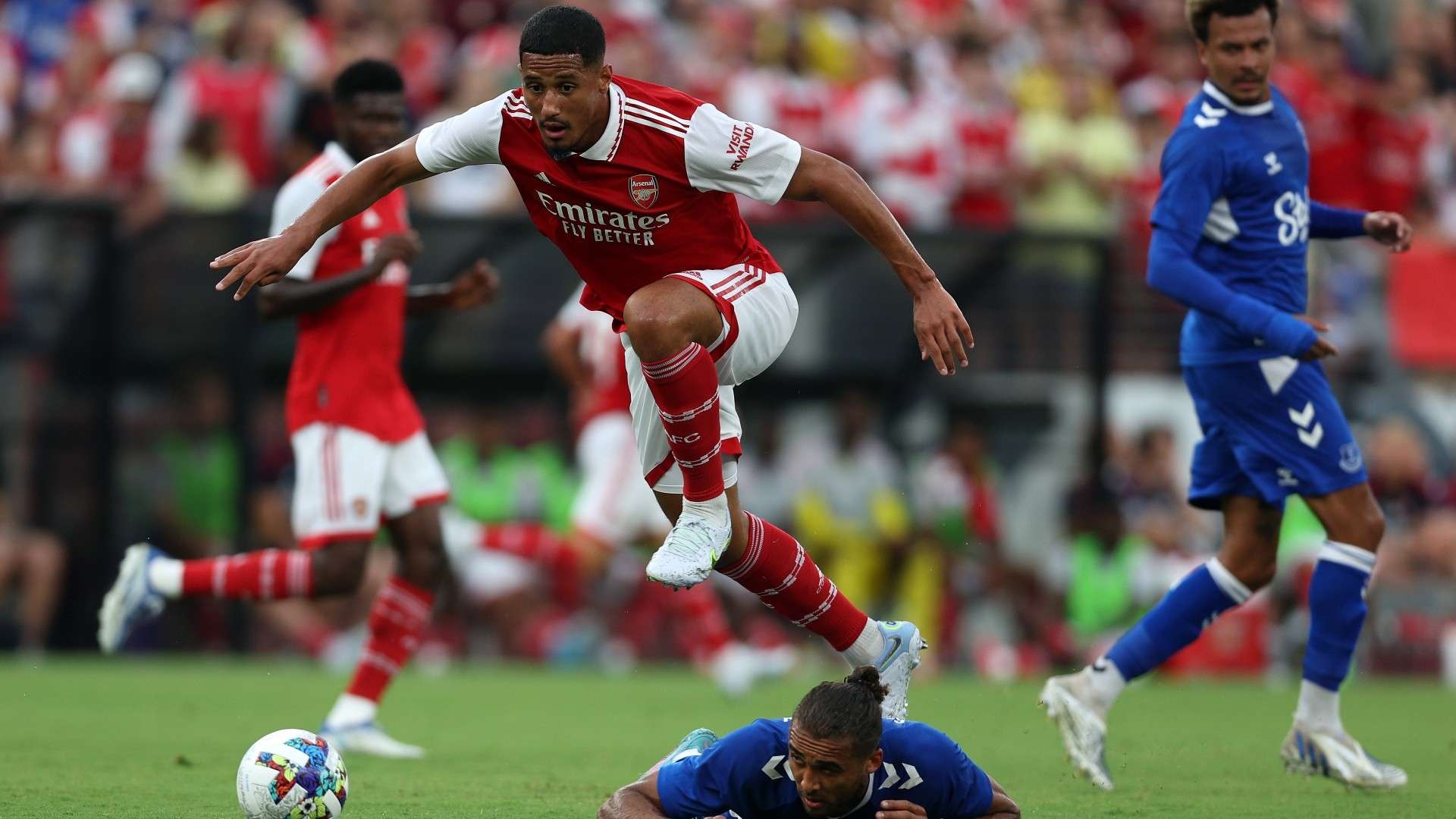 相追逐的目 相追逐的目