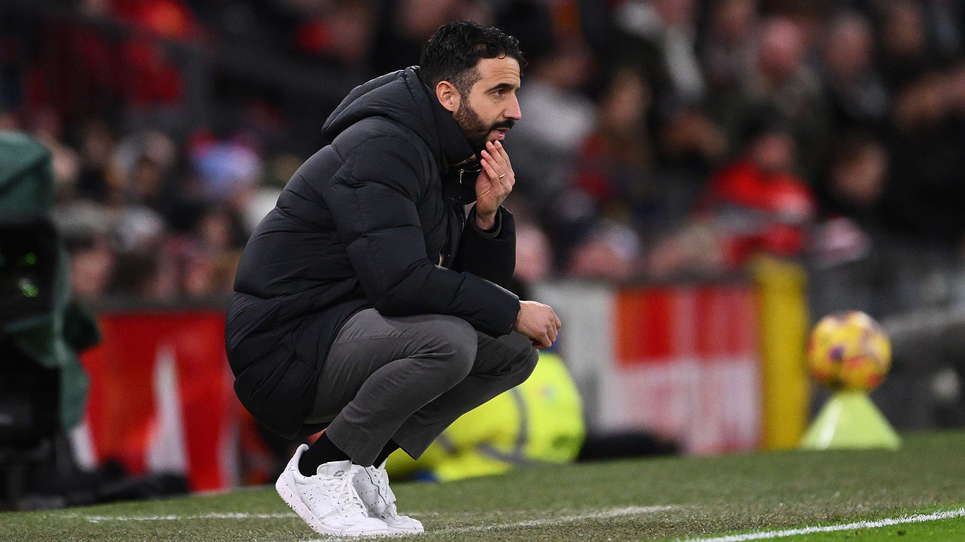 球迷们可以 球迷们可以